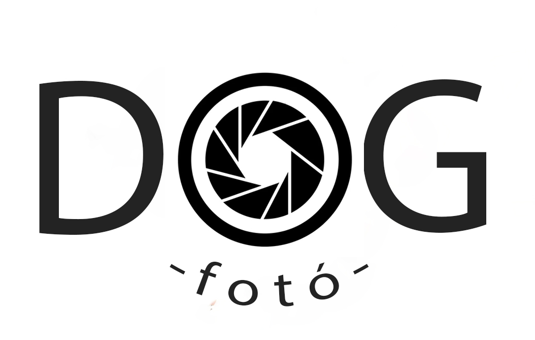 Dog Foto